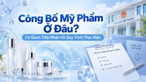 Công Bố Mỹ Phẩm ở đâu