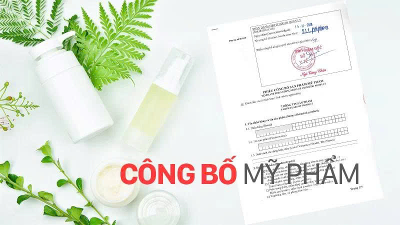 Dịch vụ công bố mỹ phẩm phù hợp với doanh nghiệp muốn có người hỗ trợ xuyên suốt quá trình
